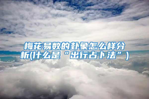 梅花易数的卦象怎么样分析(什么是“出行占卜法”)
