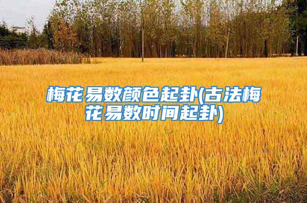梅花易数颜色起卦(古法梅花易数时间起卦)