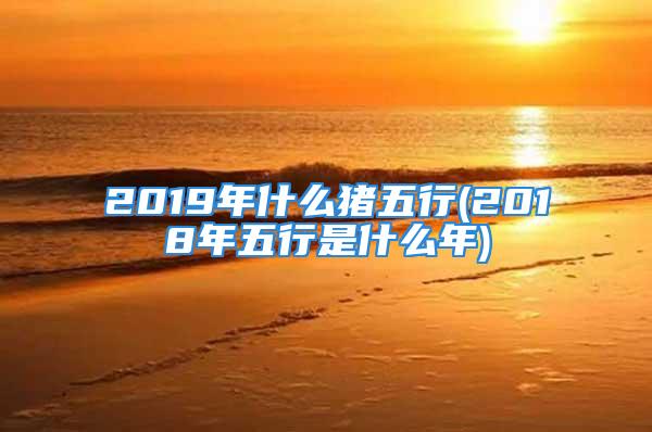 2019年什么猪五行(2018年五行是什么年)