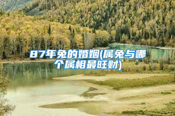 87年兔的婚姻(属兔与哪个属相最旺财)