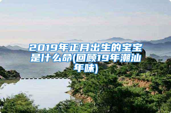 2019年正月出生的宝宝是什么命(回顾19年潮汕年味)