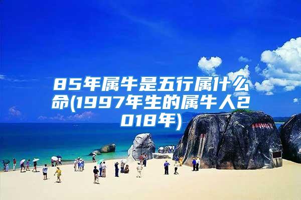 85年属牛是五行属什么命(1997年生的属牛人2018年)