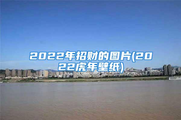 2022年招财的图片(2022虎年壁纸)