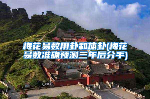 梅花易数用卦和体卦(梅花易数准确预测三年后分手)