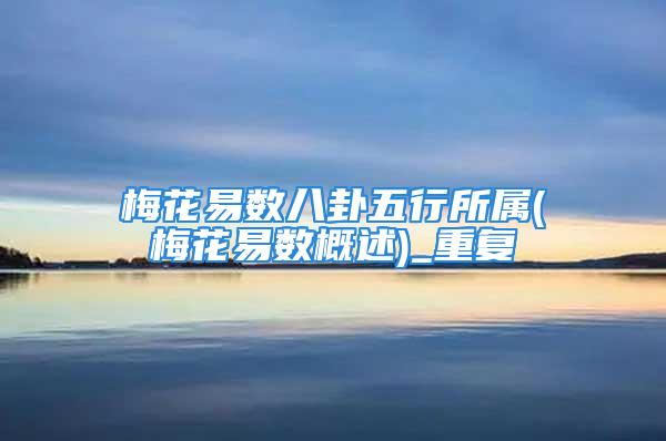 梅花易数八卦五行所属(梅花易数概述)_重复
