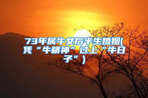 73年属牛女后半生婚姻(凭“牛精神”过上“牛日子”)