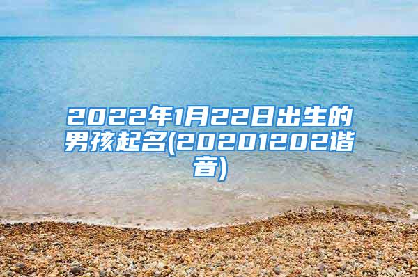 2022年1月22日出生的男孩起名(20201202谐音)