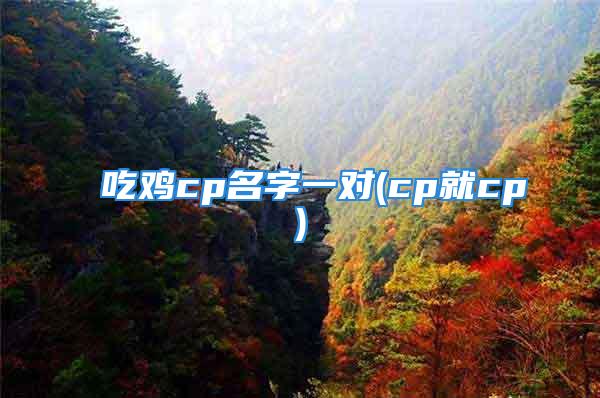 吃鸡cp名字一对(cp就cp)