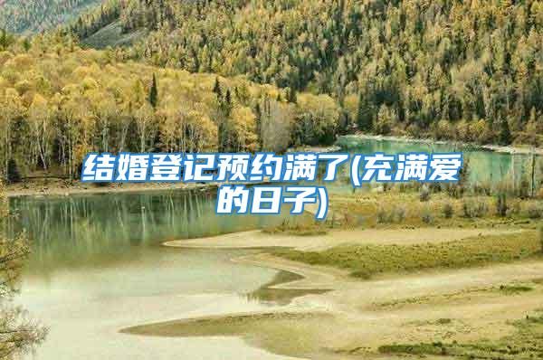 结婚登记预约满了(充满爱的日子)