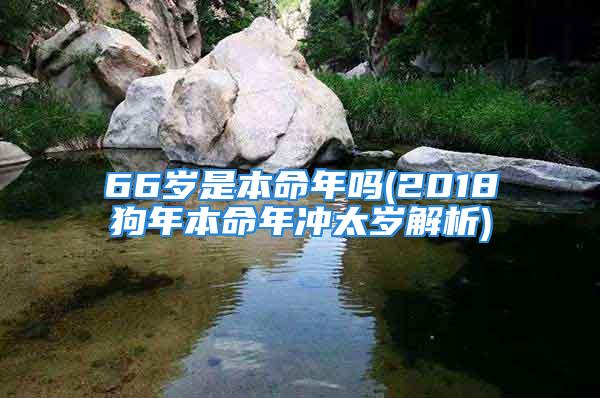 66岁是本命年吗(2018狗年本命年冲太岁解析)