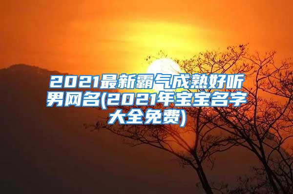 2021最新霸气成熟好听男网名(2021年宝宝名字大全免费)