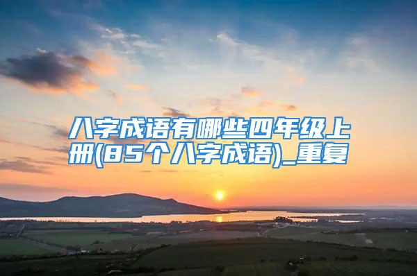 八字成语有哪些四年级上册(85个八字成语)_重复