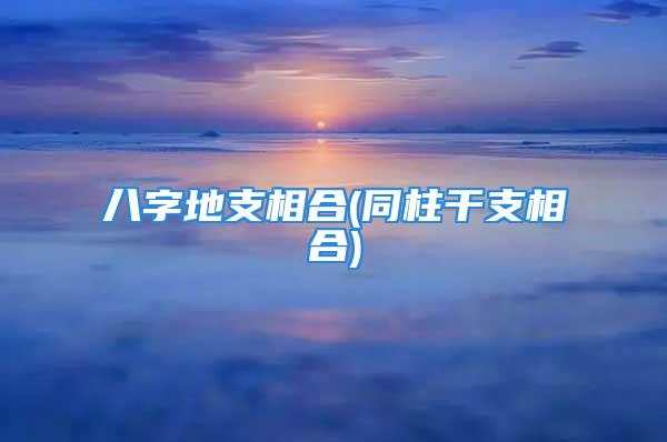 八字地支相合(同柱干支相合)