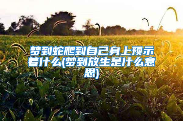 梦到蛇爬到自己身上预示着什么(梦到放生是什么意思)
