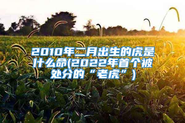 2010年二月出生的虎是什么命(2022年首个被处分的“老虎”)