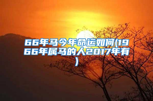 66年马今年命运如何(1966年属马的人2017年有)
