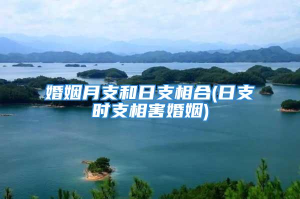 婚姻月支和日支相合(日支时支相害婚姻)