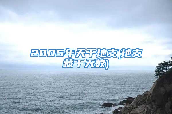 2005年天干地支(地支藏干天数)