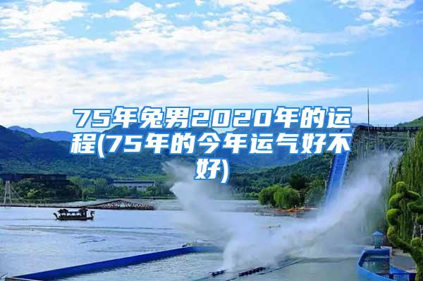 75年兔男2020年的运程(75年的今年运气好不好)