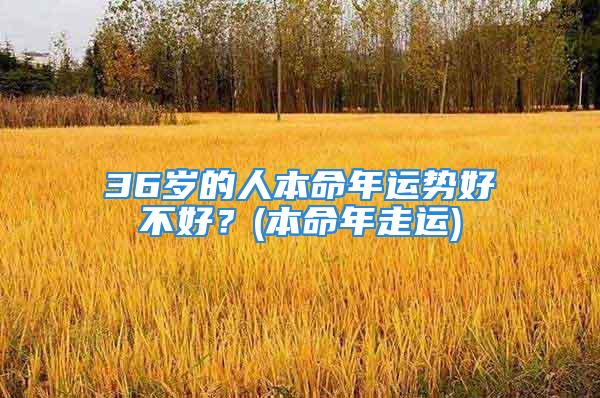 36岁的人本命年运势好不好？(本命年走运)