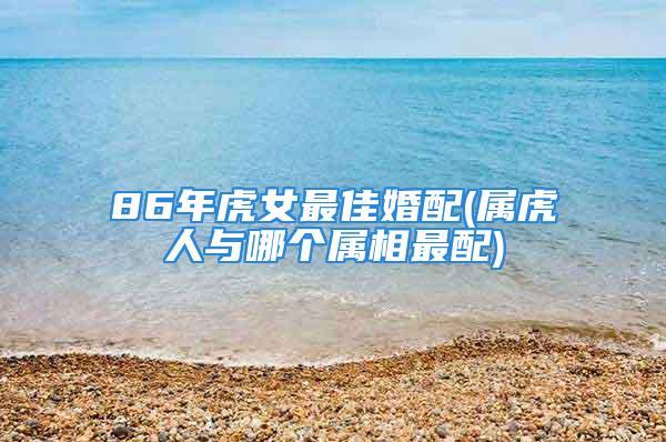86年虎女最佳婚配(属虎人与哪个属相最配)