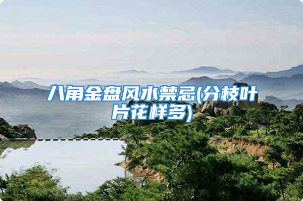 八角金盘风水禁忌(分枝叶片花样多)