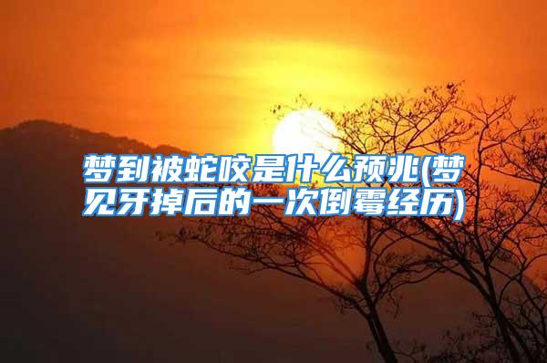 梦到被蛇咬是什么预兆(梦见牙掉后的一次倒霉经历)
