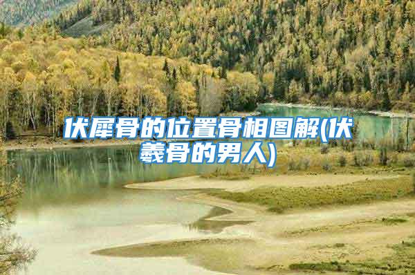 伏犀骨的位置骨相图解(伏羲骨的男人)