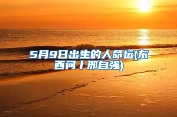 5月9日出生的人命运(东西问丨邢自强)
