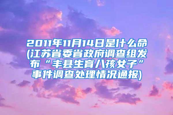 2011年11月14日是什么命(江苏省委省政府调查组发布“丰县生育八孩女子”事件调查处理情况通报)