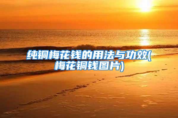 纯铜梅花钱的用法与功效(梅花铜钱图片)