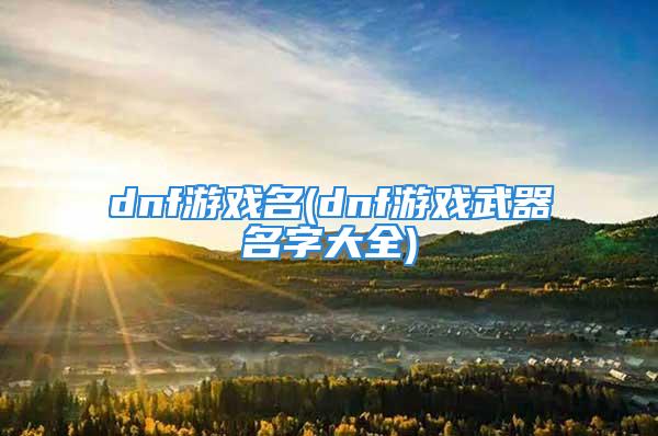 dnf游戏名(dnf游戏武器名字大全)