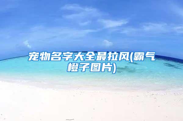 宠物名字大全最拉风(霸气橙子图片)