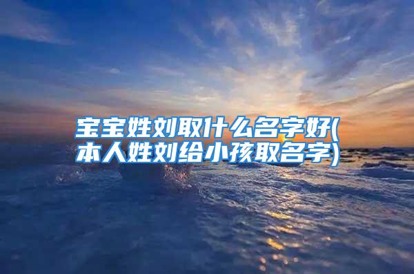 宝宝姓刘取什么名字好(本人姓刘给小孩取名字)