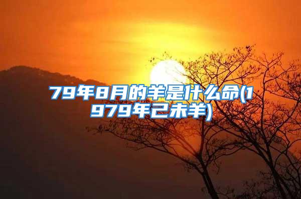 79年8月的羊是什么命(1979年己未羊)