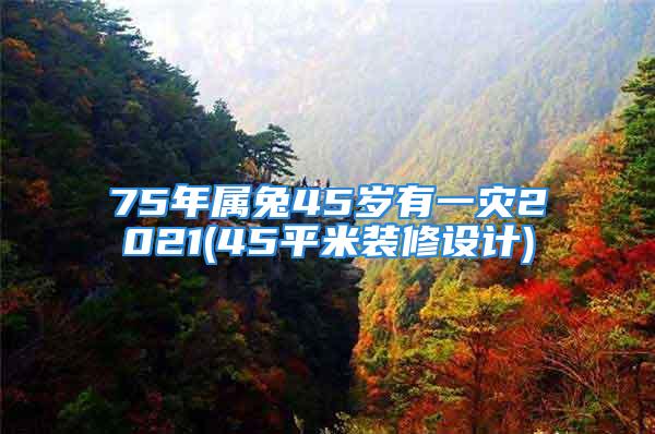 75年属兔45岁有一灾2021(45平米装修设计)