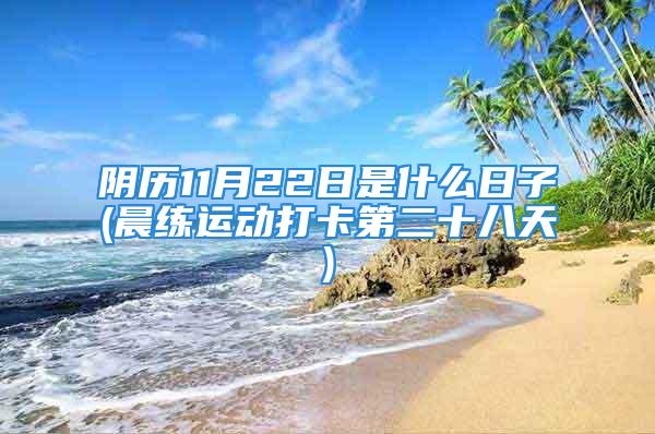 阴历11月22日是什么日子(晨练运动打卡第二十八天)
