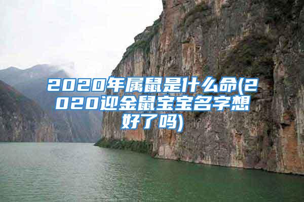 2020年属鼠是什么命(2020迎金鼠宝宝名字想好了吗)