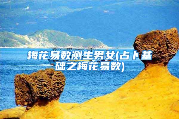 梅花易数测生男女(占卜基础之梅花易数)