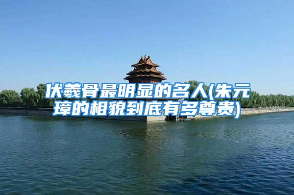 伏羲骨最明显的名人(朱元璋的相貌到底有多尊贵)