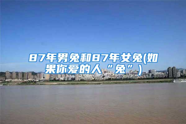 87年男兔和87年女兔(如果你爱的人“兔”)