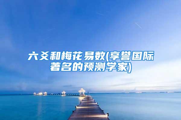 六爻和梅花易数(享誉国际著名的预测学家)