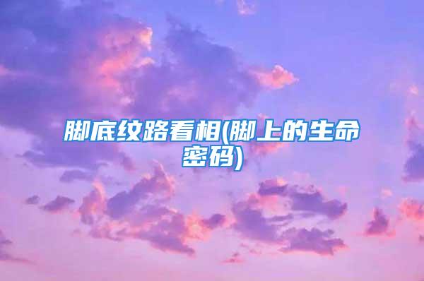 脚底纹路看相(脚上的生命密码)