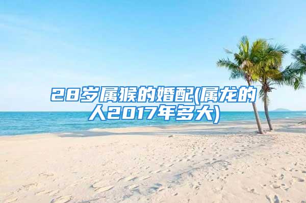 28岁属猴的婚配(属龙的人2017年多大)