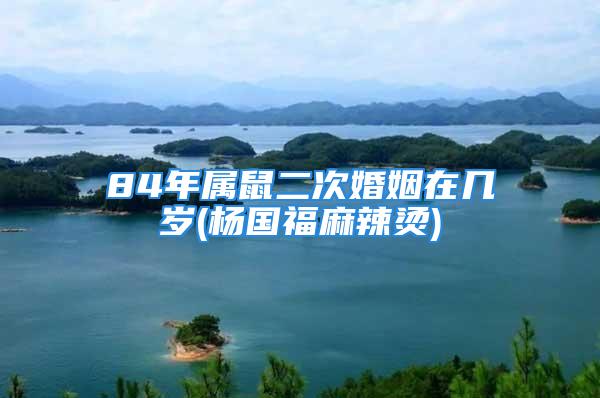 84年属鼠二次婚姻在几岁(杨国福麻辣烫)