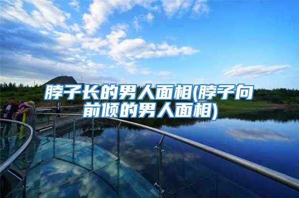 脖子长的男人面相(脖子向前倾的男人面相)