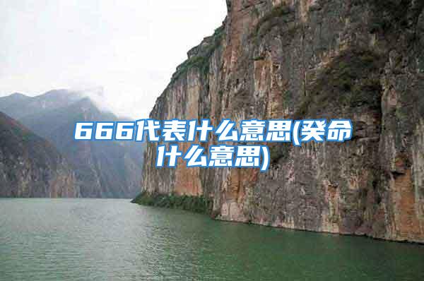 666代表什么意思(癸命什么意思)