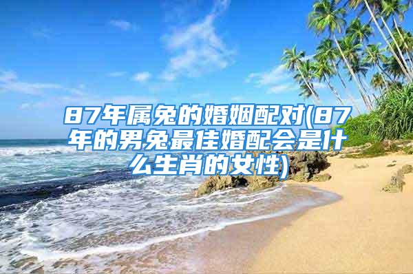 87年属兔的婚姻配对(87年的男兔最佳婚配会是什么生肖的女性)