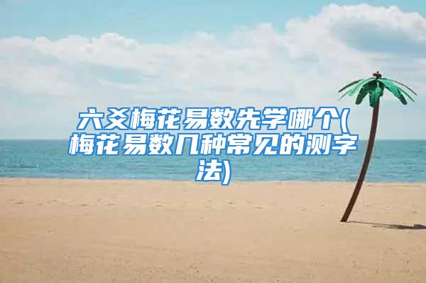 六爻梅花易数先学哪个(梅花易数几种常见的测字法)