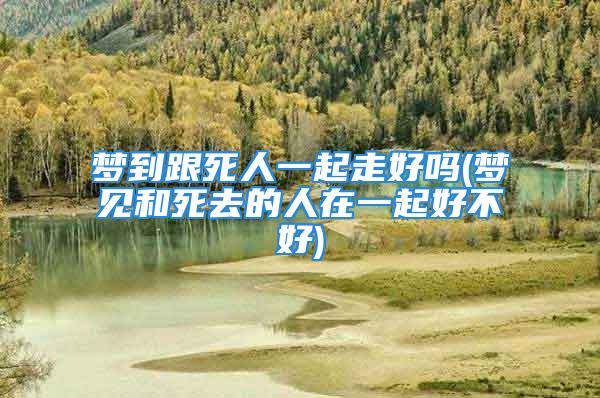 梦到跟死人一起走好吗(梦见和死去的人在一起好不好)